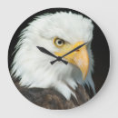 Zoek naar eagle klokken Vogel