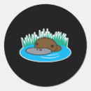 Recherche de platypus autocollants Mignon