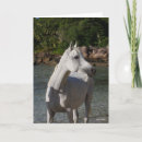 Zoek naar bob kaarten Paard