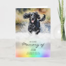 Recherche de cocker spaniel vœux cartes Espagne