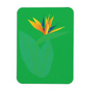 Recherche de paradis magnets Floral