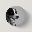 Recherche de chiens badges Pour animaux