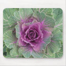 Recherche de plantation tapis souris Toute personne