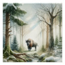 Recherche de buffle posters Pays