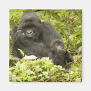 Recherche de mcdonald magnete Rwanda