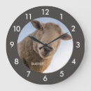Zoek naar sheep klokken Grappig