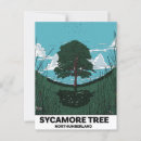 Zoek naar sycamore briefkaarten Plataan