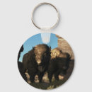 Zoek naar buffalo sleutelhangers Western