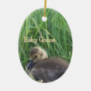 Recherche de bébé de pâques ornements Animaux