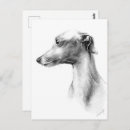 Recherche de whippet cartes postales Dessin