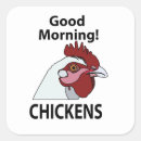 Zoek naar grappige kippen stickers Haan