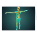 Recherche de brachiale Plexus brachial