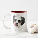 Recherche de bichons tasses Mignon