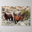 Zoek naar wild paarden posters Equine