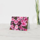 Recherche de chrysanthèmes vœux cartes Maman