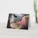 Recherche de valentine de vache vœux cartes Ferme