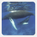 Recherche de vertèbre autocollants Animal