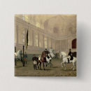 Recherche de cheval de dressage badges Chevaux