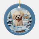 Zoek naar poedels ornamenten Hond