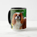Recherche de blenheim tasses Animal