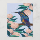 Zoek naar exotische vogel briefkaarten Bloem