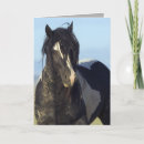 Zoek naar zwart wit paard kaarten Wild