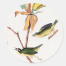 Zoek naar botanische tekening stickers Vintage