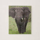 Recherche de tanzanie puzzles Mammifère