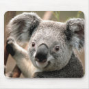Recherche de animaux australiens tapis souris Koala