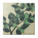Recherche de branche carreaux Botanique