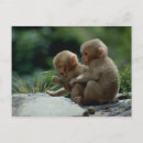Recherche de préfecture cartes postales Horizontal
