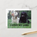 Recherche de labrador drôle cartes postales Chiot