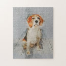 Recherche de chien de chasse puzzles Chiot