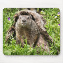 Recherche de creux tapis souris Animaux sauvages