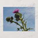 Zoek naar doorn briefkaarten Tuin