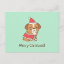 Recherche de bouledogue français cartes postales Amusant
