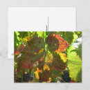 Zoek naar rode druiven briefkaarten Bladeren