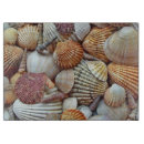 Recherche de coquillages colorés planches à découper Nautique