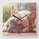 Recherche de bulldog horloges Animaux