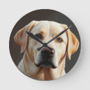 Recherche de extracteur horloges Récupérateur doré