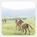 Recherche de amants de cheval autocollants Cowboy