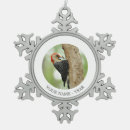 Recherche de piverts Ornithologie