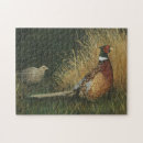 Recherche de faisans puzzles Chasse
