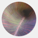 Recherche de mensonge autocollants Feuille