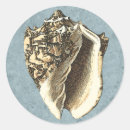 Recherche de conique autocollants Conque