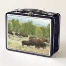 Zoek naar animal lunchboxen Wild