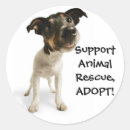 Recherche de sauvetage autocollants Dog