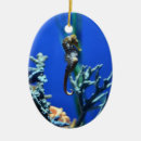 Zoek naar onderwater ornamenten Oceaan