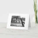 Zoek naar eiken boom kaarten Fotografie