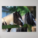 Recherche de tireur posters Chevaux